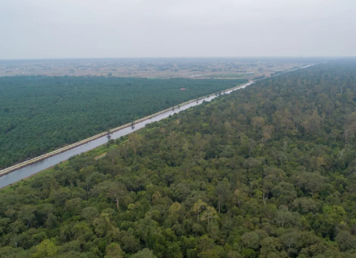 A canal stretches along the boundary of the Raja Musa Peat Swamp Forest Reserve