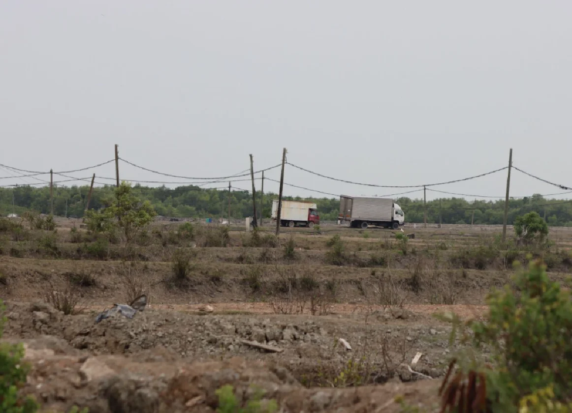 The conversion of mangrove forests into aquaculture plots in Kuala Selangor