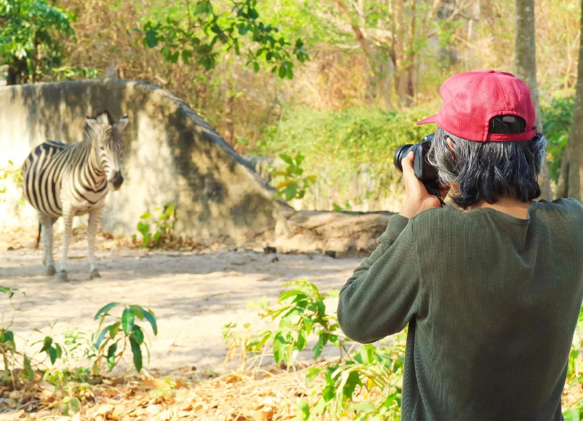 Examine emerging issues, including human–wildlife conflict, invasive alien species, zoonotic diseases, and wildlife trafficking<br />
