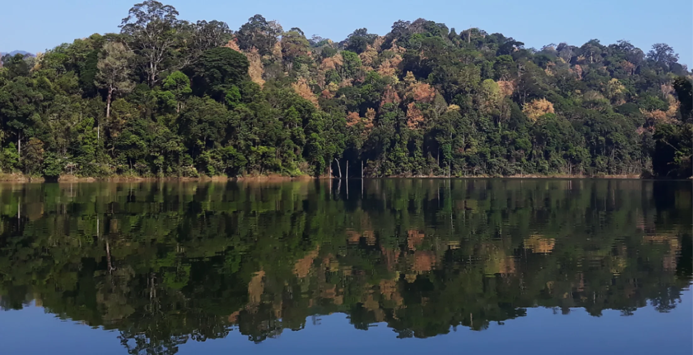 The Royal Belum State Park within the Belum-Temenggor forest complex