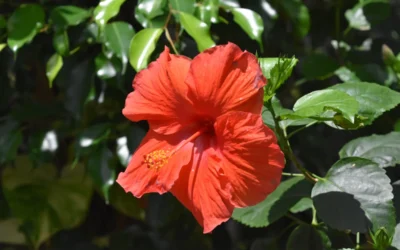 Sample Post 3