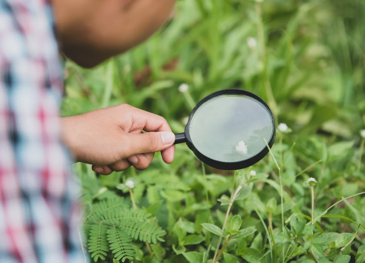 Offer evidence-based recommendations to strengthen conservation outcomes<br />
